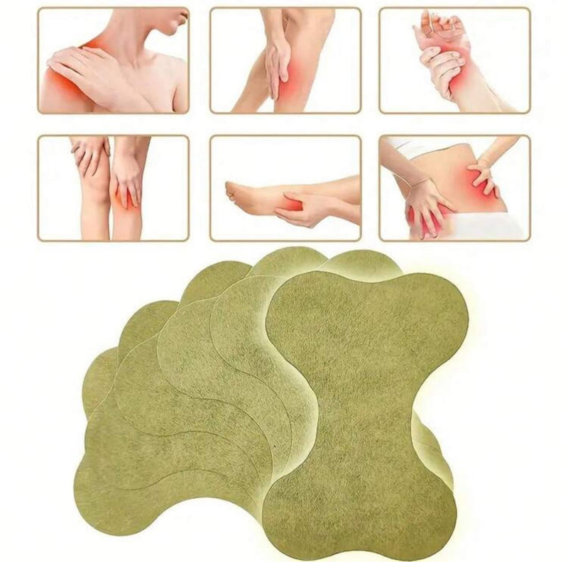 2SKN 12pcs Herbal Pain Relief Shoulder Lower Back Lumbar Patch