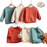 LITTLE DREAMERS Unisex Bear Embossed Cute Pull Over for Kids